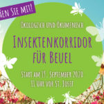 Plakatausschnitt Insektenkorridor Beuel